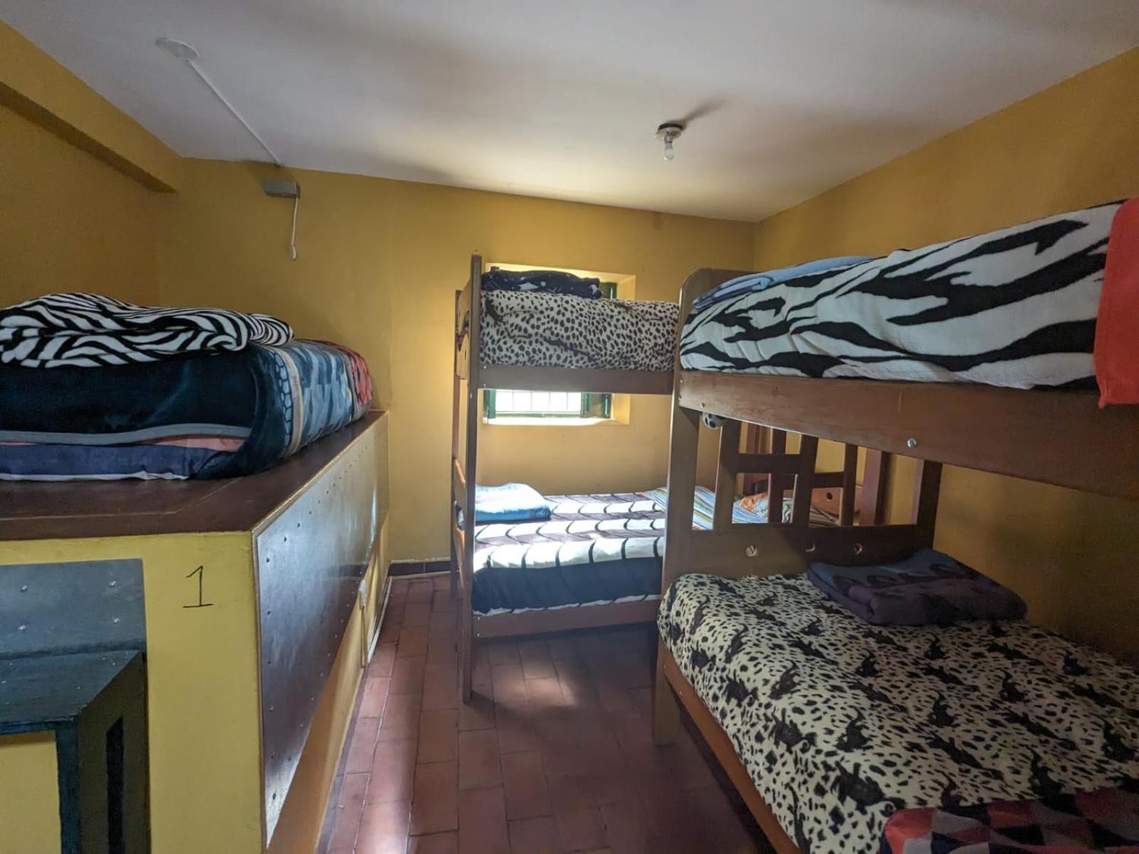 Lord Shiva Hostel 库斯科 外观 照片